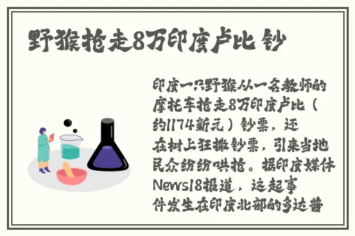欧美高清vivoesond13高清